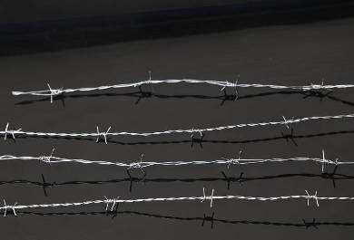 Hot Dipped Galvanized Wire Hot Dipped Galvanized Wire