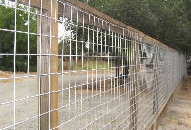 Things You Need to Learn about Welded Wire Mesh Fence Panels Things You Need to Learn about Welded Wire Mesh Fence Panels
