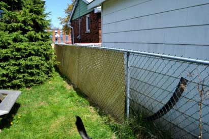 Why should you put a fence around your property Why should you put a fence around your property